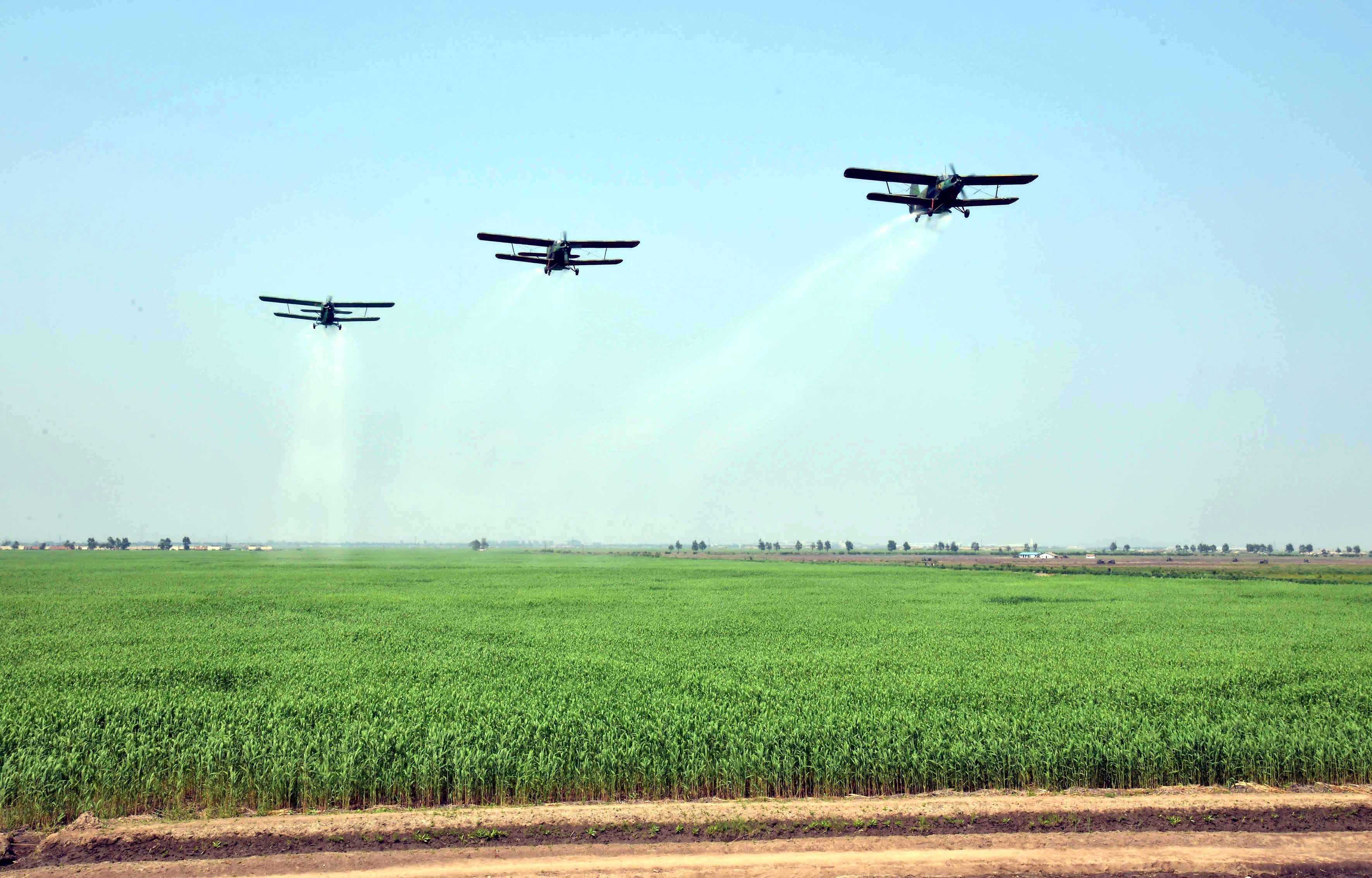 9-자력자강의 창조물 (1)